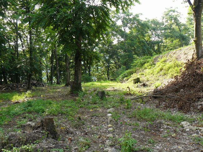 ���J����