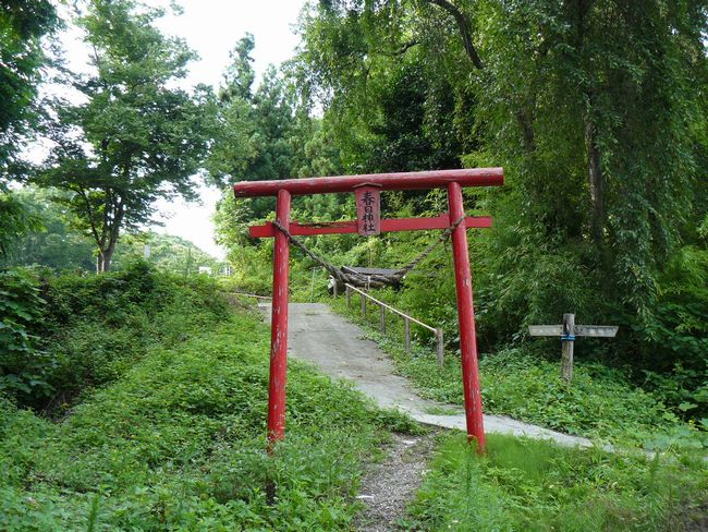 ���J����