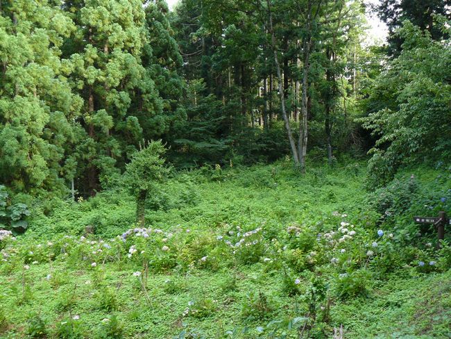 ���J����