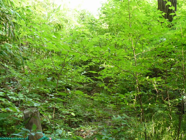 ���J����