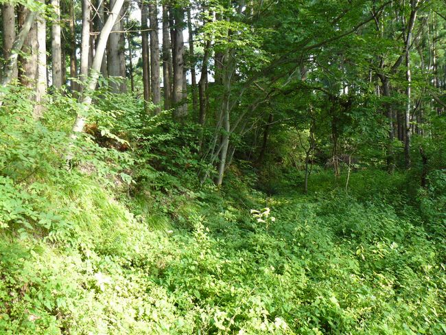 ���J����