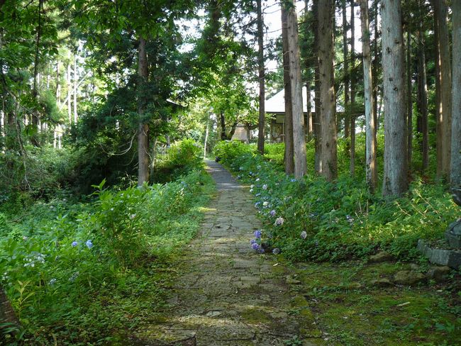 ���J���ω���