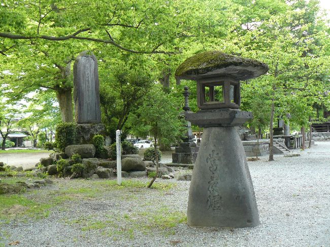 ��������t��