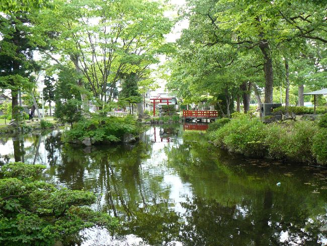 ��������t��