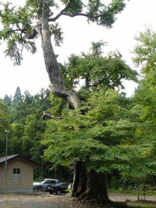 ���������ω���