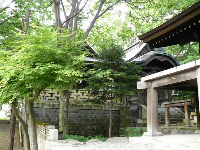 ���C���R�����{