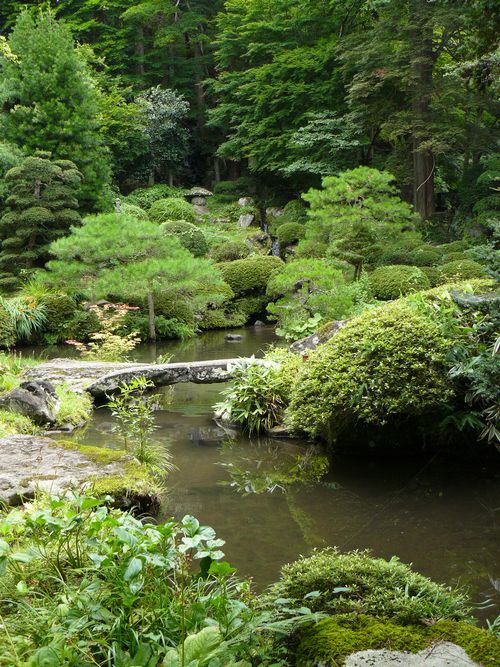 �΍s���E��g�ω���