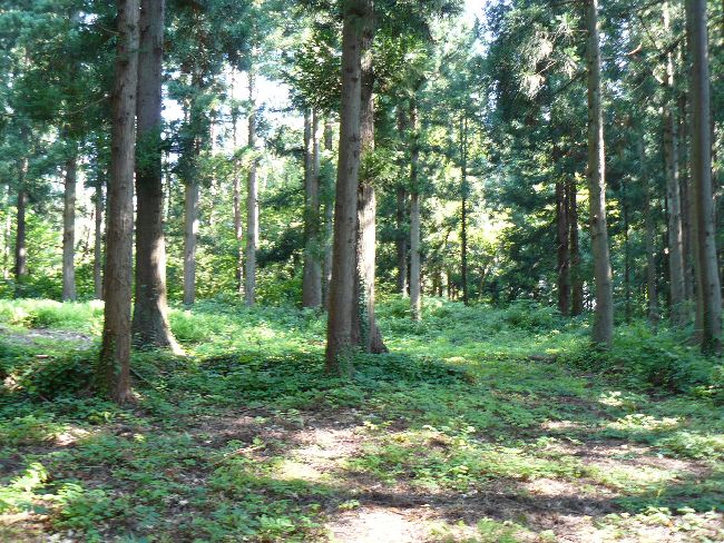 �����ω��i�V�{���j