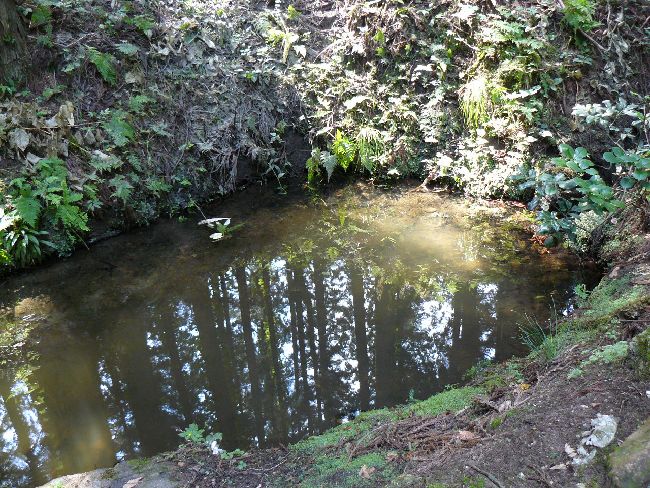 �X�ω��i�ՏƎ��j