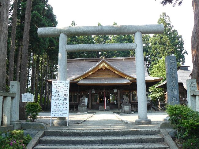 ���{�_��