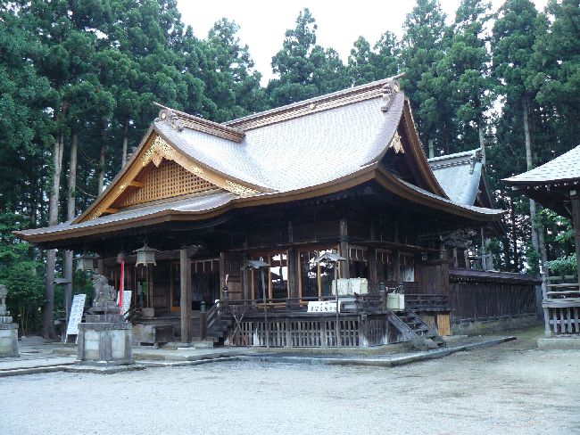 ���{�_��