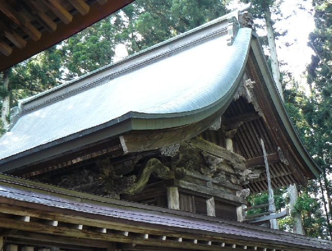 ���{�_��