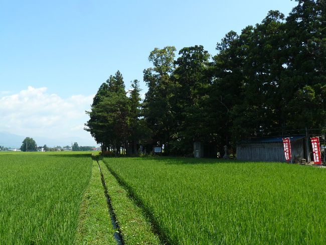 ����ω��i���@���j