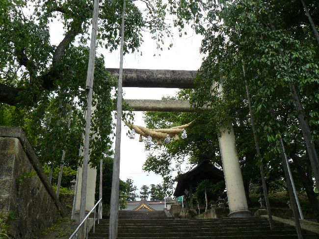 �G�X�q�R�����{