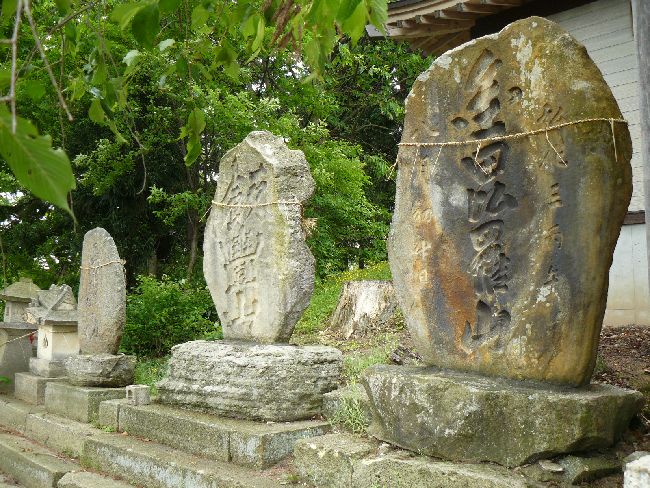 �H���_��