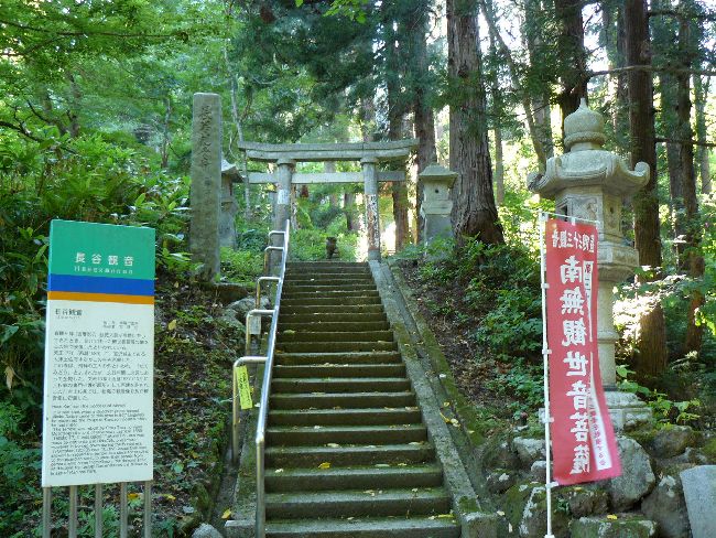 ���J�ω��i��ϖV�j