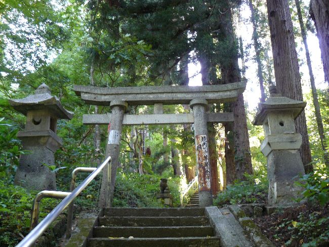 ���J�ω��i��ϖV�j