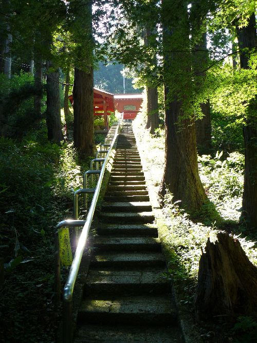 ���J�ω��i��ϖV�j