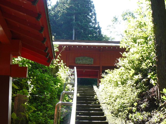 ���J�ω��i��ϖV�j