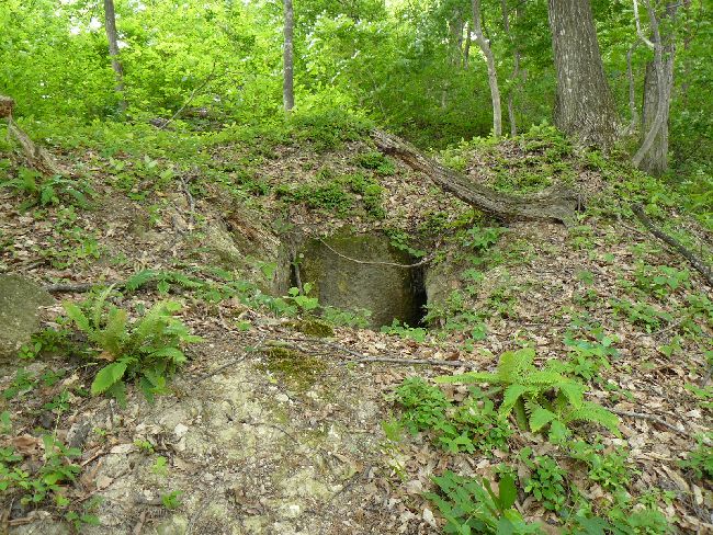 ��F���Õ�