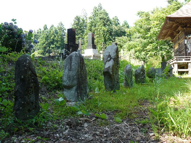 ���L�ω��i�򑠉@�j