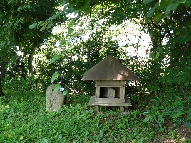 ���L�ω��i�򑠉@�j