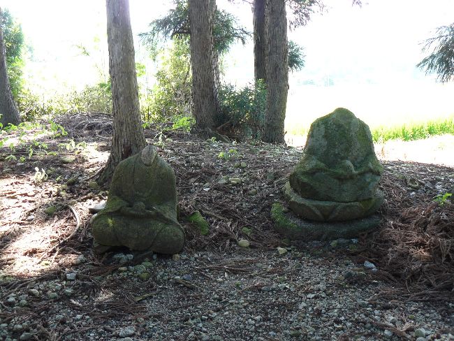 �L��ω��i�^���@�j