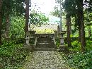 安久津八幡神社の苔生した参道