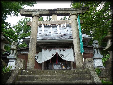 �����_��