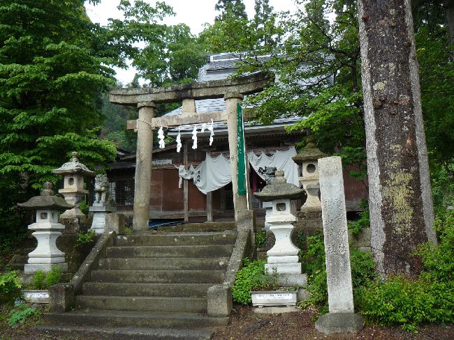 �����_��