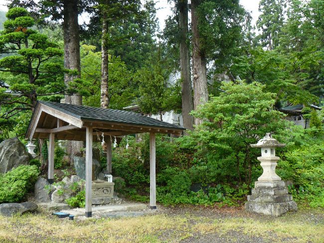 �����_��