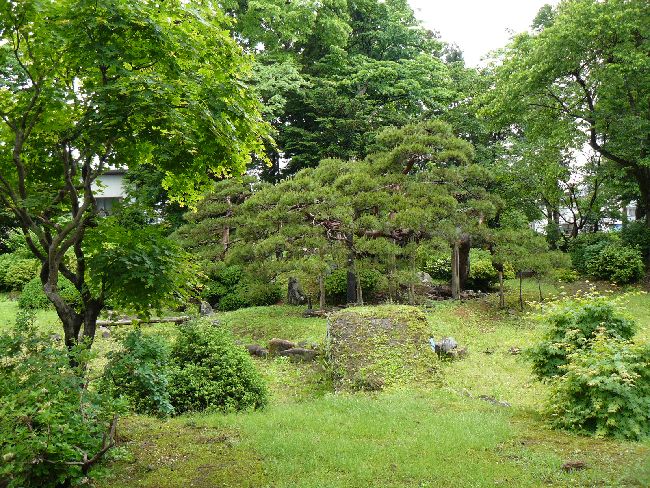 �@�򎛁i�뉀�j