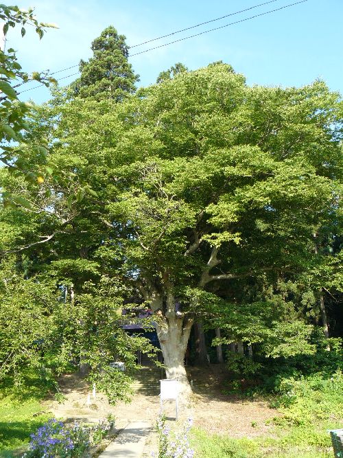 �㏬���ω�