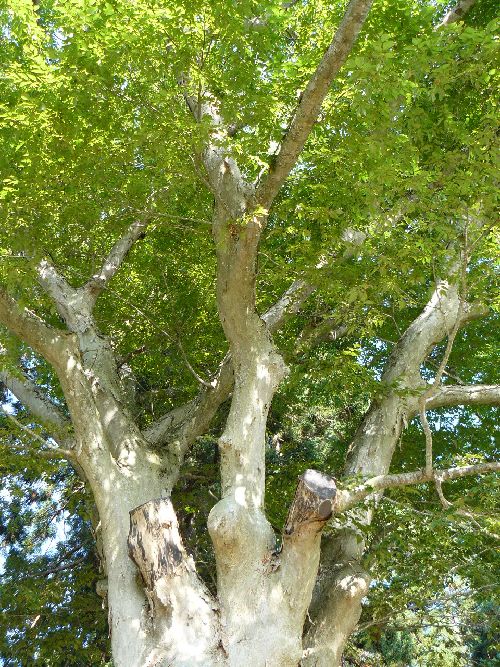 �㏬���ω�