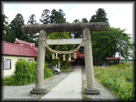 ������{�_��