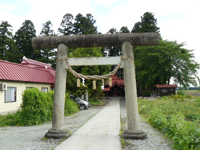 ������{�_��