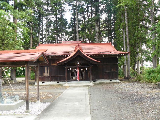 ������{�_��