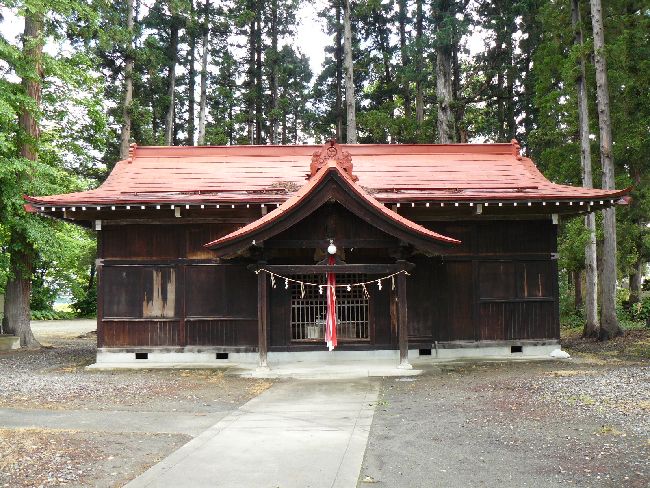 ������{�_��