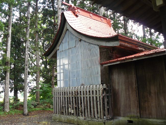 ������{�_��