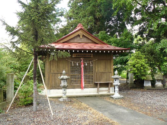 ������{�_��