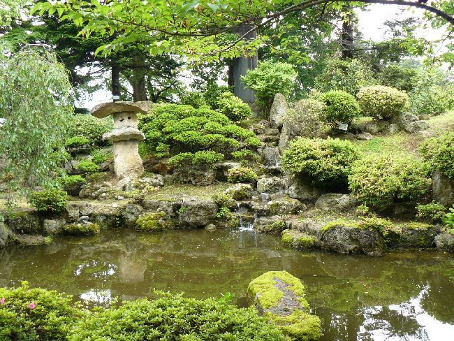 �����_��