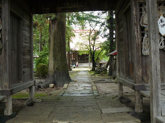 ��������哰