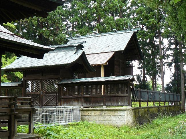 ���q�_��