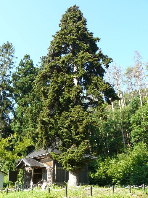 ���R�ω��i�������j