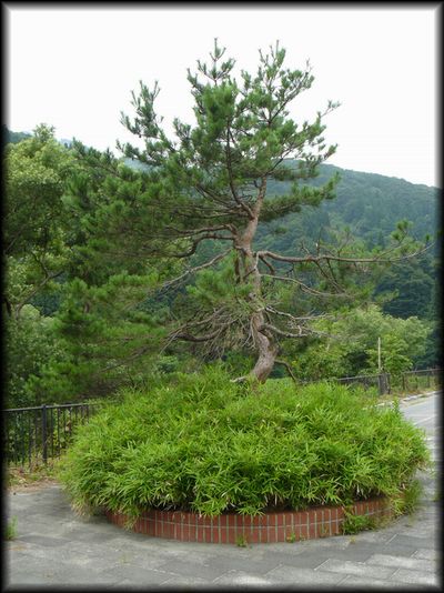 �ٌc�̓�����