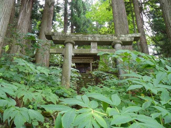 ��t�@������