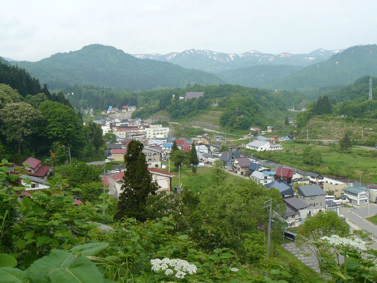 �I�܉���E����X�i�R�`���呠���j