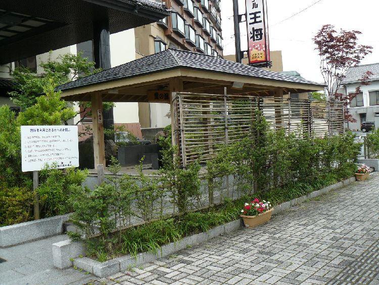 �V������E����X�i�R�`���V���s�j