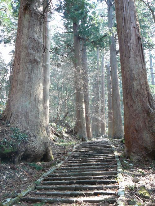 �Q���i�����؁E�o�H�O�R�_�Ёj