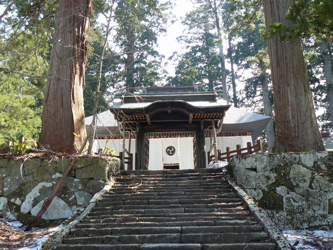 �H���R���Ƌ{